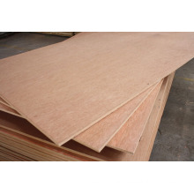 1220*2440mm natural veneer faced plywood